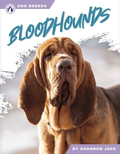 Bloodhounds Bloodhounds