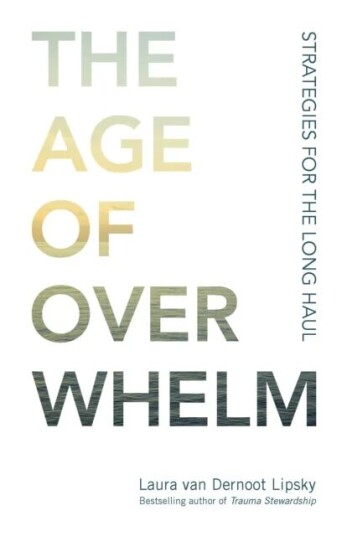 The Age Of Overwhelm Av Laura Van Dernoot Lipsky