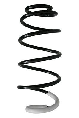 Fjær SPIDAN 86804