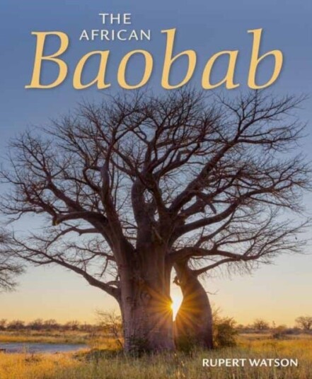 The African Baobab The African Baobab