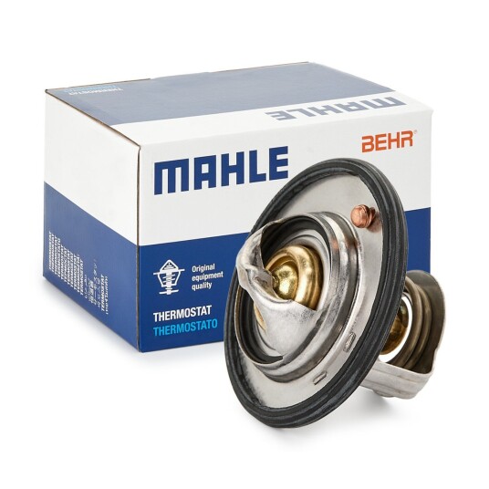 Termostat BEHR TX 79 78D