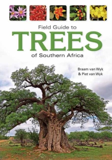 Field Guide To Trees Of Southern Africa Av Braam Van Wyk