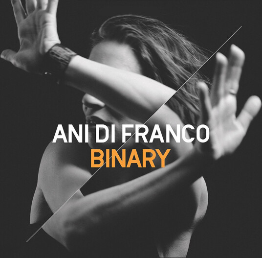 Ani DiFranco Binary CD