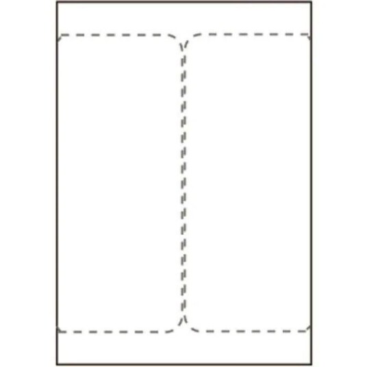 CAPTURE Ship-label 105 x 220mm. For