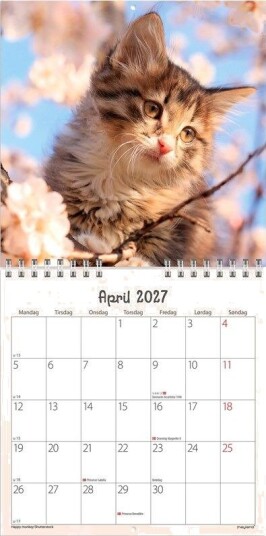 Mayland Vgkalender mini Kattekillinger 2027