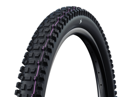 Schwalbe Albert Trail Pro Evolution Folding Tire 29" 2,50" (63-622)