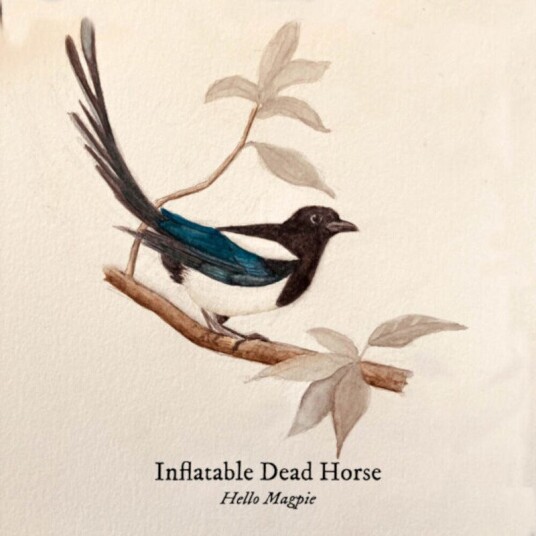 Hello Magpie Vinyl