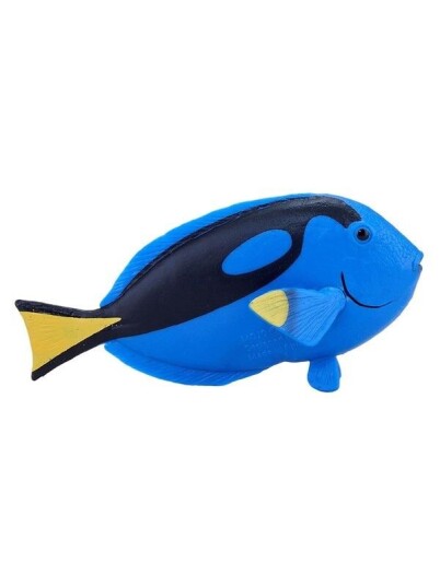 Mojo   Sealife Blue Tang Fish