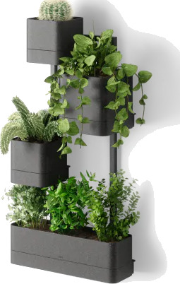 Umbra Cubiko vegghengte blomsterpotter sort