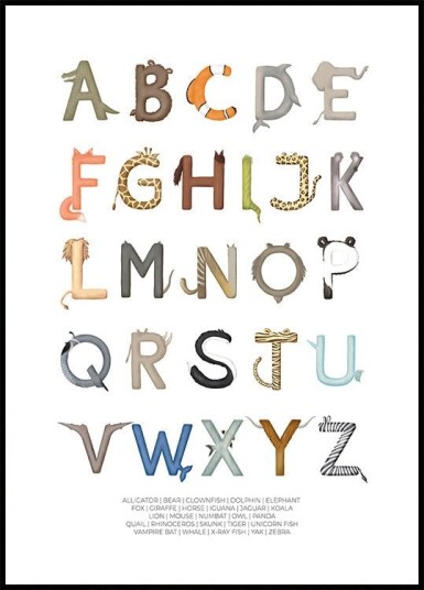 Animal Letters ABC Plakat Plakat / 70x100cm