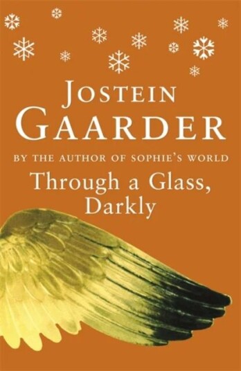 Through A Glass, Darkly Av Jostein Gaarder