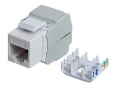 Intellinet Keystone Jack Cat6 Utp Toolless White - Trapes-Jakk - Cat 6 - Stp - Hvit - 1 Port