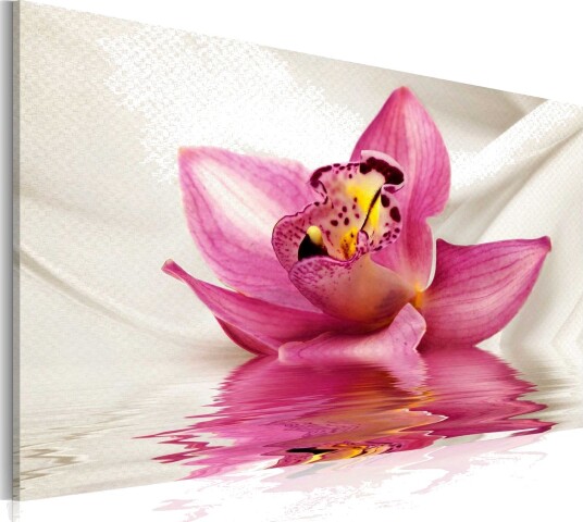 Bilde Unusual Orchid 60x40 Artgeist sp. z o. o.