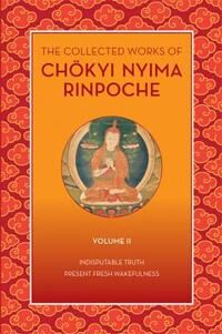 The Collected Works Of Choekyi Nyima Rinpoche, Volume Ii Av Chokyi Nyima Rinpoche The Collected Works Of Choekyi Nyima Rinpoche, Volume Ii Av Chokyi Nyima Rinpoche