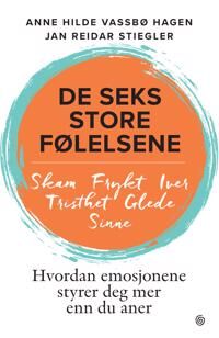 De seks store følelsene av Anne Hilde Vassbø - Bok om Emosjoner og Selvutvikling