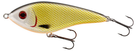 Westin Swim 12cm 53g Official Roach