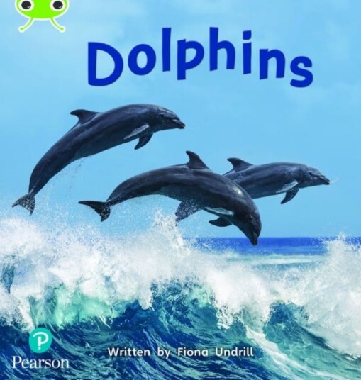 Bug Club Phonics  ?  Phase 5 Unit 13: Dolphins Av Fiona Undrill