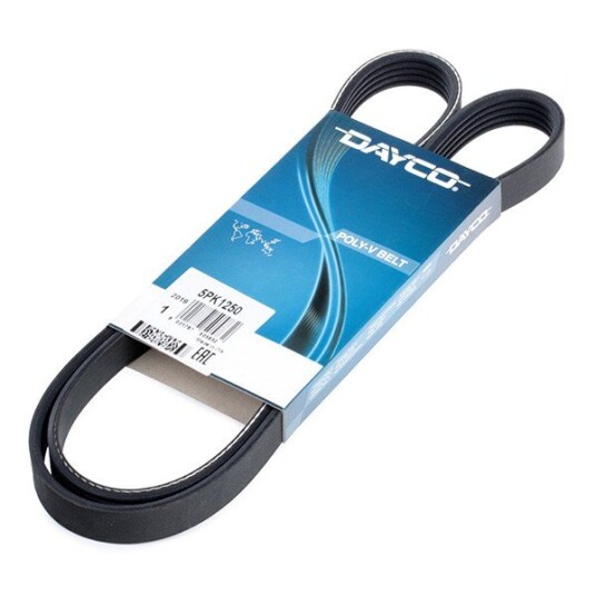 Kileribberem DAYCO 5PK1250