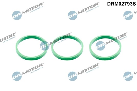 Pakkningssett innsugningsmanifold Dr.Motor Automotive DRM02793S