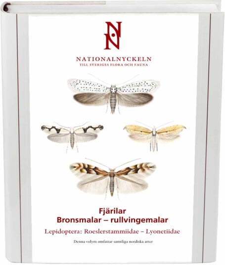 Fjärilar: Bronsmalar   rullvingemalar. Roeslerstammiidae   Lyonetiidae