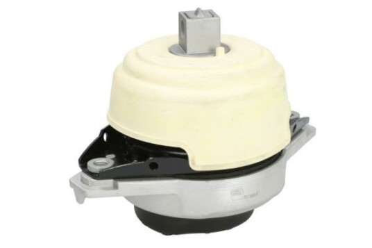 Motorfeste REINHOCH RH11-3146