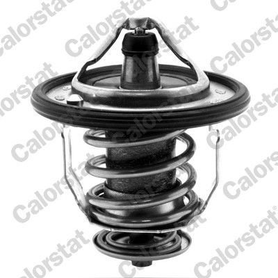 Termostat CALORSTAT by Vernet TH5434.88J