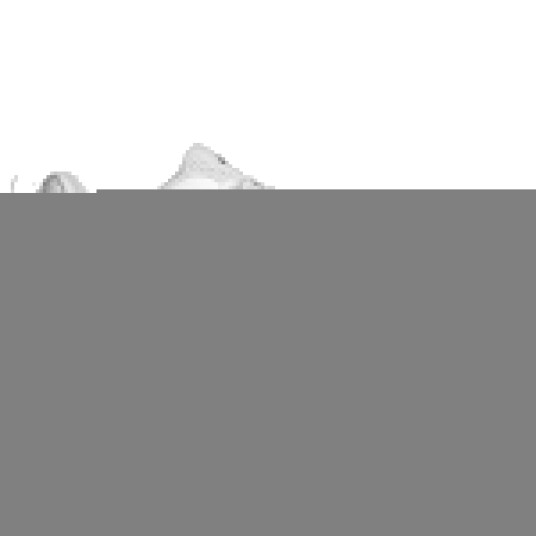 Adidas Performance Novaflight 2 M White 46