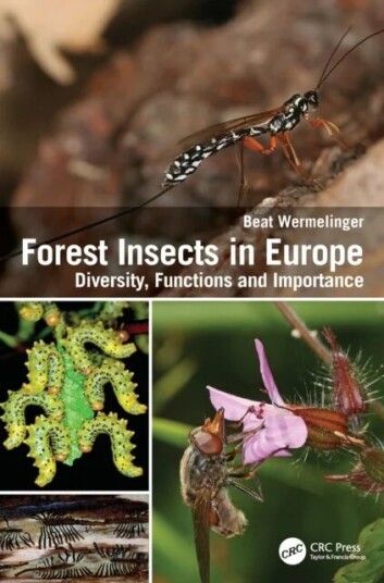 Forest Insects In Europe Av Beat (Swiss Federal Institute Wsl Zurich Switzerland) Wermelinger