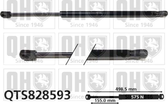 QUINTON HAZELL QTS828593 Baklukedemper