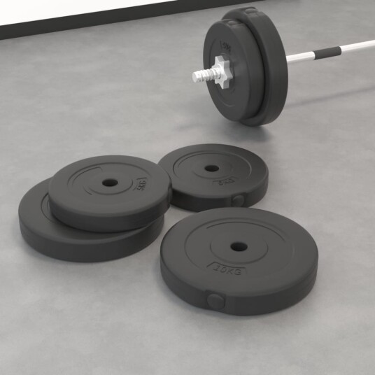 vidaXL Vektskiver 4 stk 30 kg sement vidaXL Vektskiver 4 stk 30 kg sement