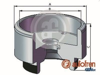 Autofren Seinsa Stempel bremsecaliper AUTOFREN SEINSA D025721