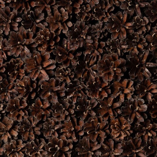 Veggpanel Emotionwood Pinecones Veggpanel Emotionwood Pinecones