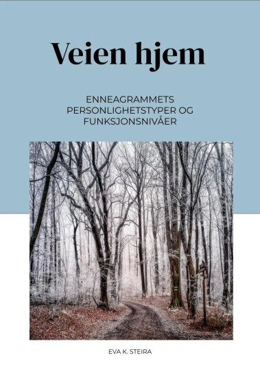 Veien Hjem Av Eva K. Steira