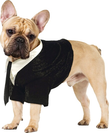 Espa Brudgom kostyme for hund Medium P72424_M