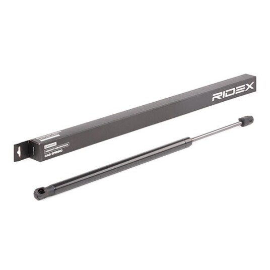 Baklukedemper RIDEX 219G0607