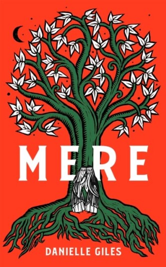 Mere The Darkly Atmospheric Historical Fiction Debut of 2025 Mere The Darkly Atmospheric Historical Fiction Debut of 2025