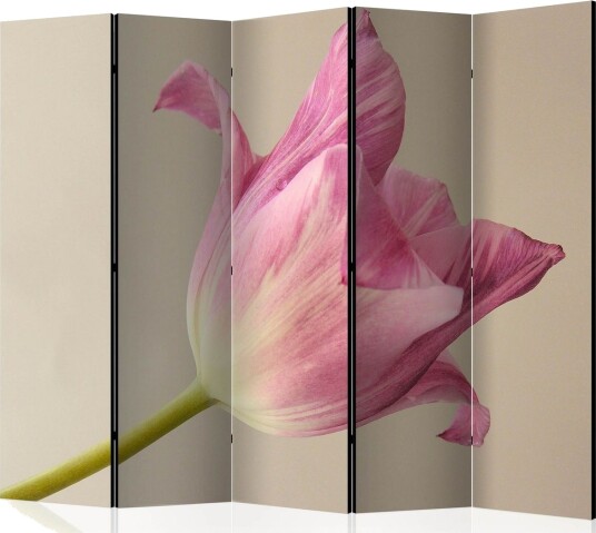 Romdeler - Pink tulip II 225x172 - Artgeist sp. z o. o.