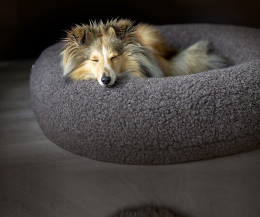 Canelana rund hundeseng Large 100% ull Grå