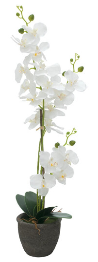 Europalms Orchid, Artificial Plant, White, 80cm