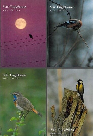 Norsk Ornitologisk Forening Vår Fuglefauna   1988  hele årgang 12