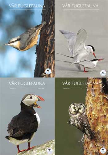 Norsk Ornitologisk Forening Vår Fuglefauna   2006  hele årgang 29