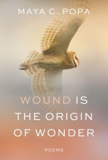 Wound Is the Origin of Wonder - Poems Wound Is the Origin of Wonder - Poems