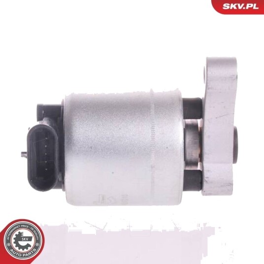 EGR-ventil ESEN SKV 14SKV004