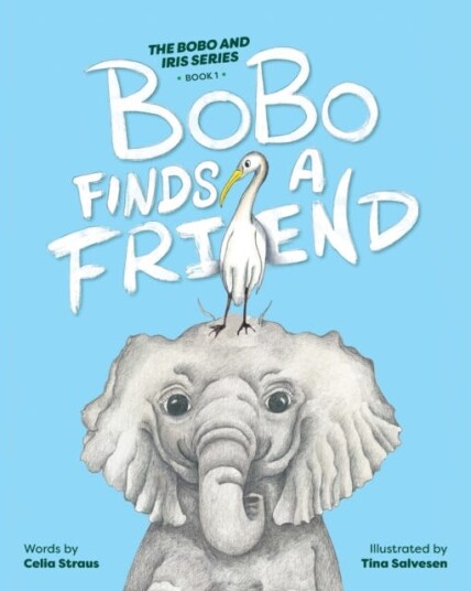 BoBo Finds a Friend BoBo Finds a Friend