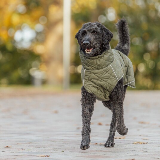 Trixie Minot Sherpa Hundedekken Grønn 217270