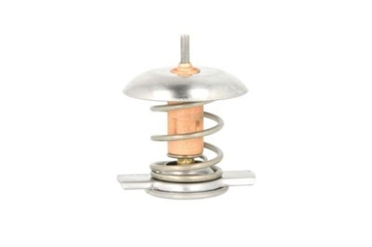 Termostat THERMOTEC D2X006TT