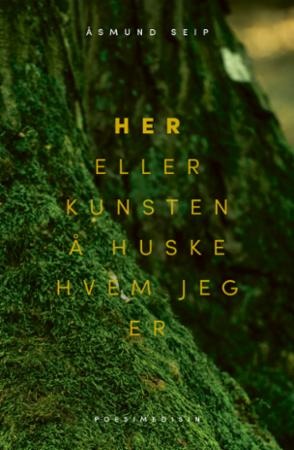 Her, Eller Kunsten Å Huske Hvem Jeg Er Av Åsmund Seip