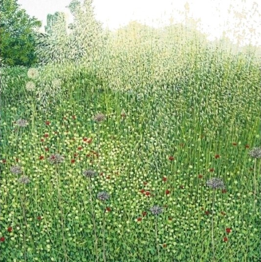 Kort Med Konvolutt Grasses By Harlow Carr Kort Med Konvolutt Grasses By Harlow Carr
