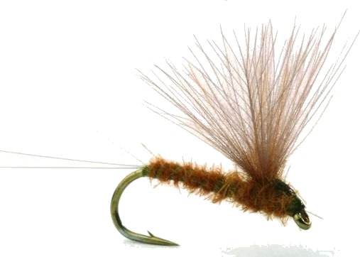 Umpqua Flies Rune"S Cdc No-Hackle Light Olive Umpqua Flies Rune"S Cdc No-Hackle Light Olive