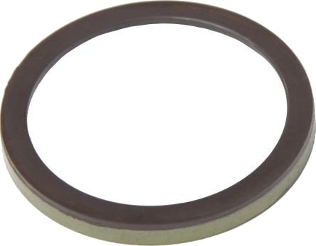 Sensorring, ABS MAPCO 76141